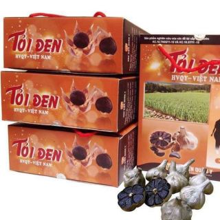 Tỏi đen nhiều nhánh HVQY