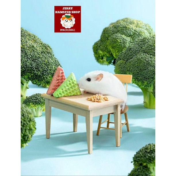 [Yee]Bánh xốp Waffle cho hamster và thú cưng nhỏ