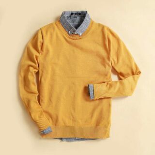 Áo LEN NAM CHẤT COTTON
