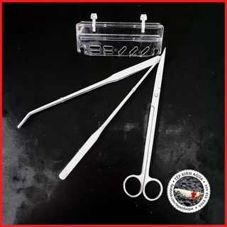 Bộ dụng cụ chăm sóc cây thủy sinh cơ bản - Kéo + Nhíp cong + Nhíp thẳng + San nền - chất liệu inox ( [Tép Xinh Aqua]