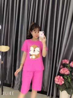 Sét bộ hàng quảng châu