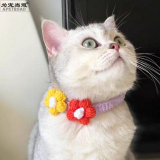 Vòng cổ hoa cho mèo , cún
