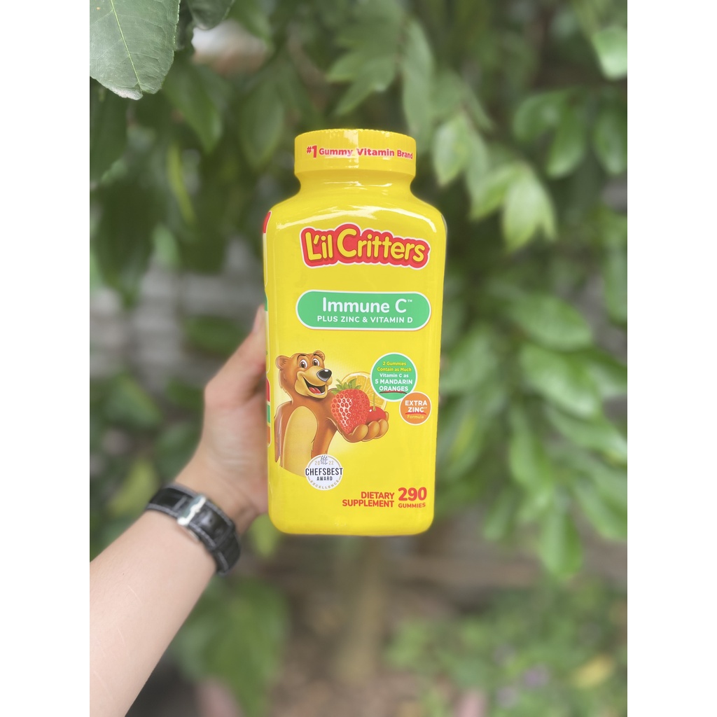 Kẹo Dẻo Gummy Vites Daily Multivitamin L'IL CRITTERS MỸ 290-300 VIÊN