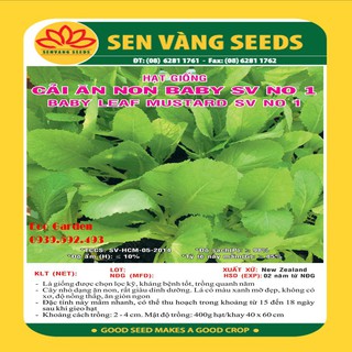 - Hạt Giống Cải Bẹ Xanh Ăn Non