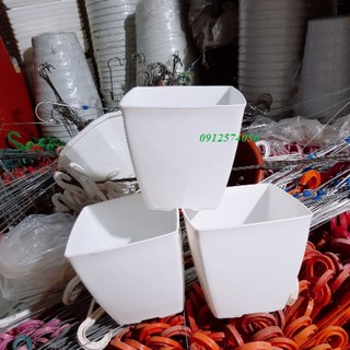 Chậu cây nhựa dáng vuông Rộng trên 15cm x Cao 15cm