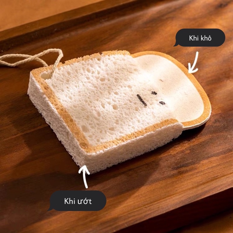 Mút rửa bát bọt biển ngộ nghĩnh đáng yêu
