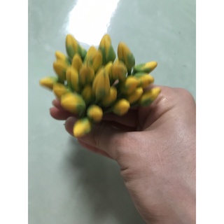 Nụ hoa mai làm hoa handmade