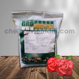 Vi lượng Sắt Chelate (Fe-EDDHA-6) (Bỉ) tan hoàn toàn trong nước (gói 100g)