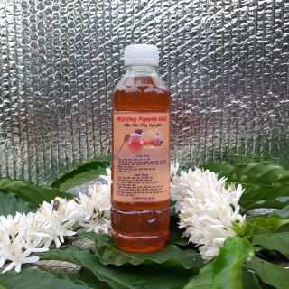 300ml MẬT ONG HOA CÀ PHÊ NGUYÊN CHẤT VÙNG ĐAKLAK. MẬT ONG HOA CÀ PHÊ 100% TỪ HOA CÀ PHÊ(Sản phẩm cam kết cho khách hàng)