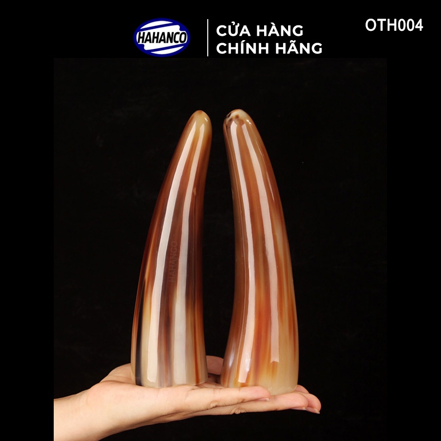 Chóp Sừng Bò Châu Phi - Vật Phẩm Phong Thủy HAHANCO Giàu Sang Phú Quý - OTH004