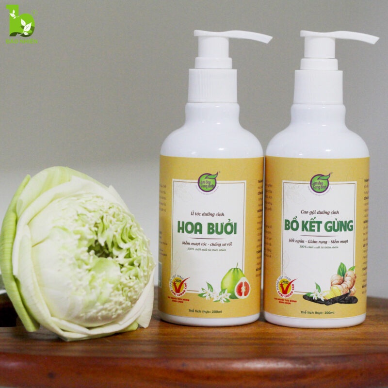 Cao Gội Đầu Bồ Kết Gừng Hoa Bưởi Làm Đẹp Cung Đình
