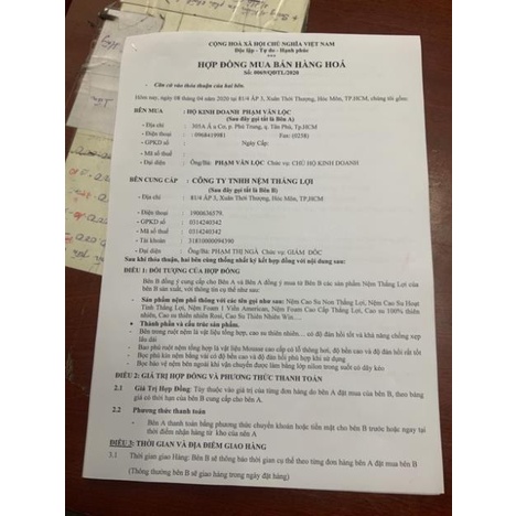 Nệm cao su Thắng lợi/ American đủ các size cao 10cm bh 15 năm