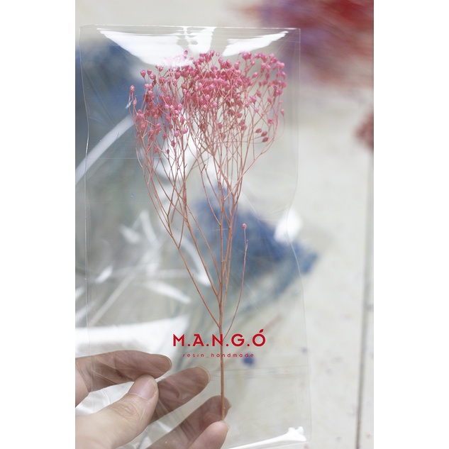 Hoa bloom khô trang trí resin, thiệp, nến thơm, handmade