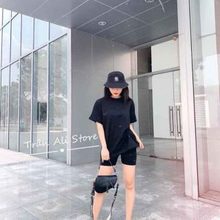 Bộ ngố chủ