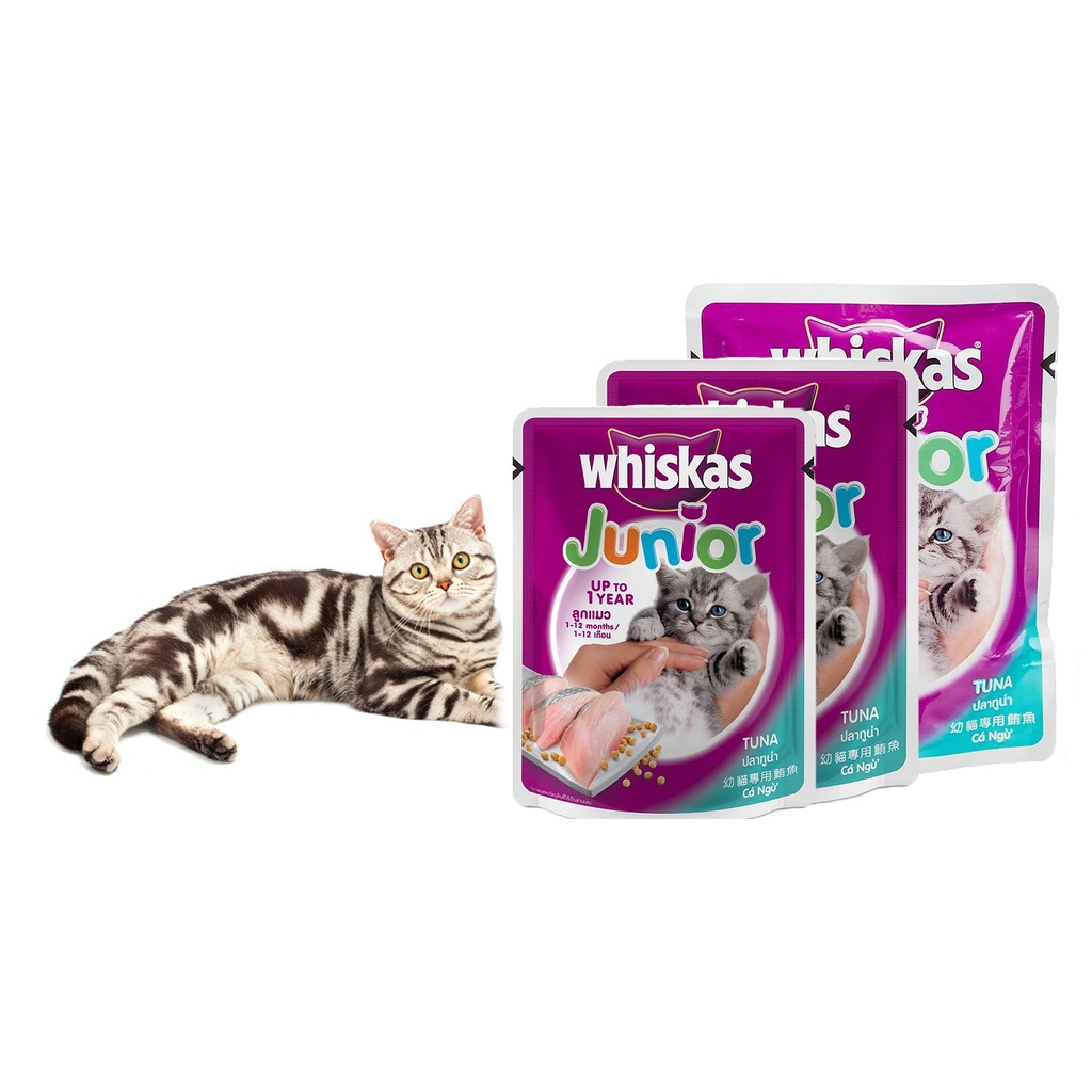 pate whiskas dinh dưỡng cho mèo con
