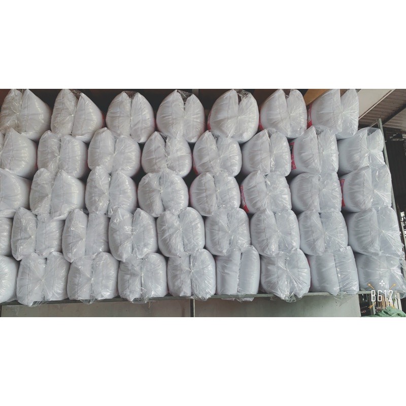 Ruột gối bông Gòn 2 chiếc