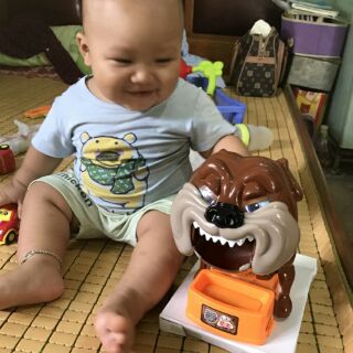 Chú chó giận giữ