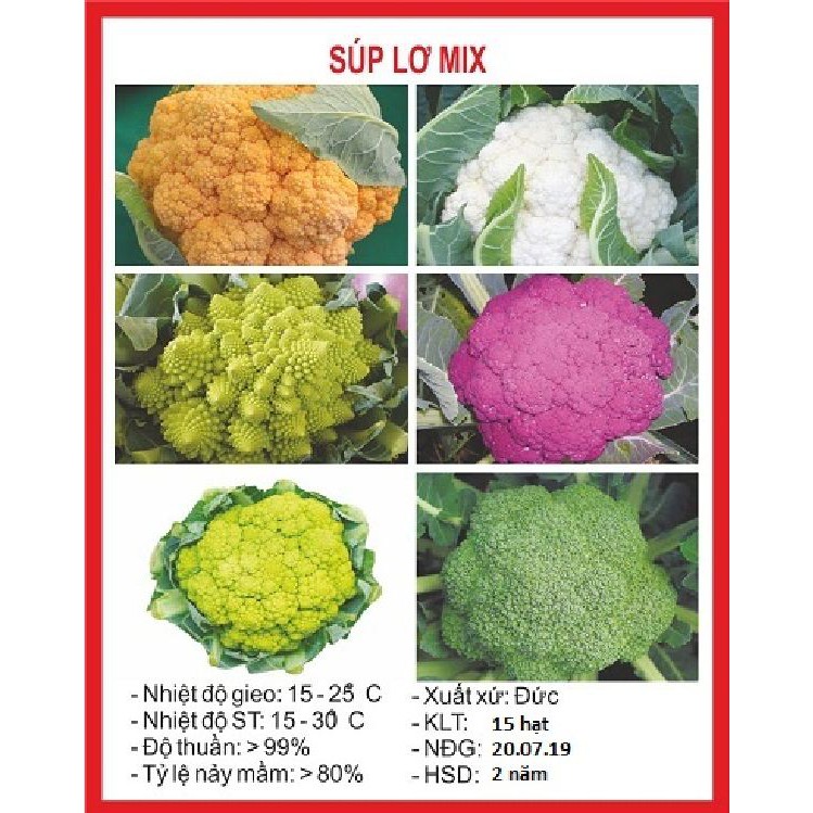 20 Hạt giống súp lơ mix màu ( bông cải mix )