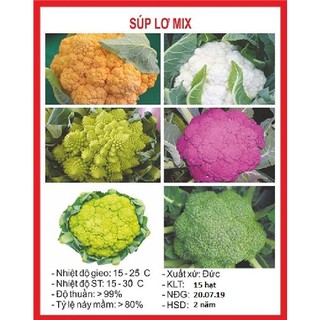 20 Hạt giống súp lơ mix màu ( bông cải mix )
