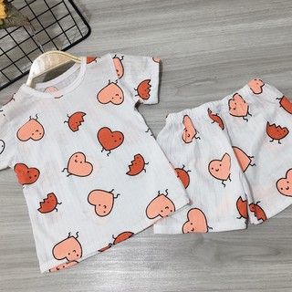 Bộ cotton giấy cho bé 7-17kg