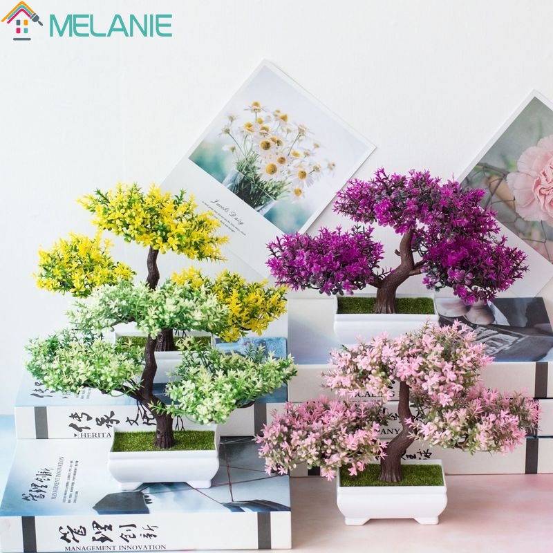 Chậu cây cảnh bằng nhựa trang trí nhà ở/văn phòng