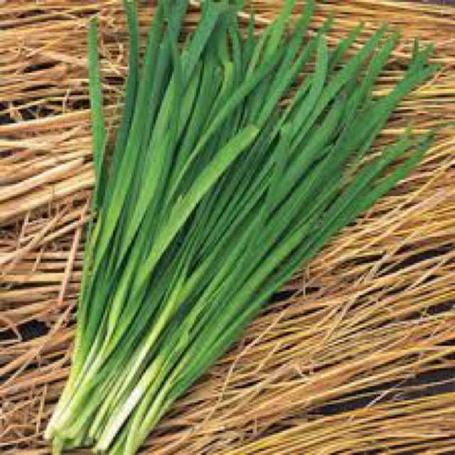 hạt giống hẹ (hẹ lá) - gói 1gr