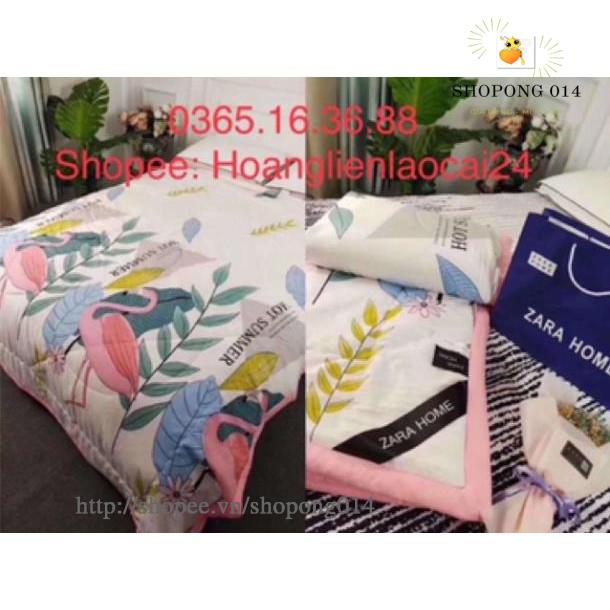 CHĂN ĐŨI ZARA* HỒNG CHIM VẠC HOT 2020