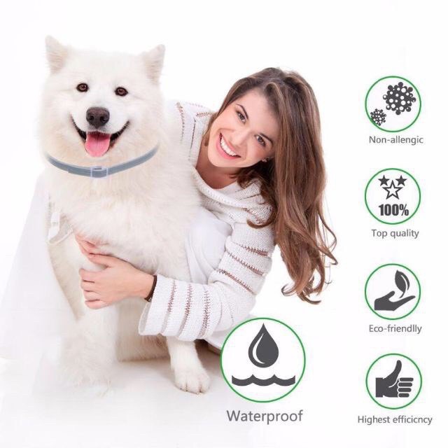 Khuyến Mãi Vòng Cổ Giết Bọ Chét Chính Hãng 100% Cho Chó Mèo Lên Đến 8 Tháng #Ốp Điện Thoại Họa Tiết Dễ Thương Cho A041 A041