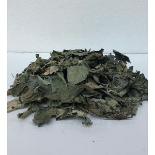 Xạ Đen Hòa Bình