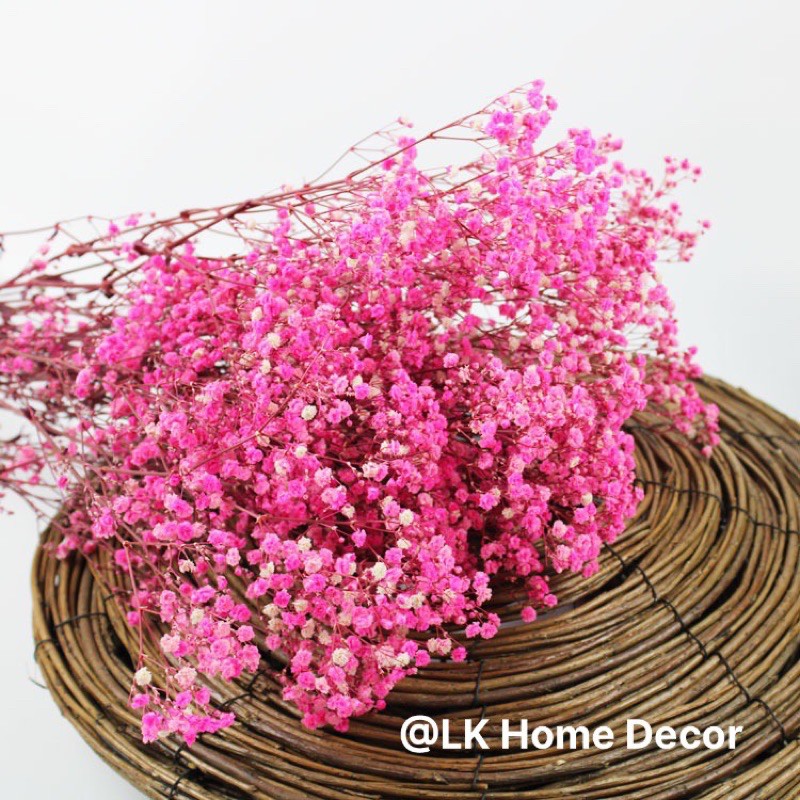 Hoa baby khô ướp màu, Hoa khô Gypsophila trang trí phòng ngủ, làm đồ hanmade, chụp hình cưới siêu xinh