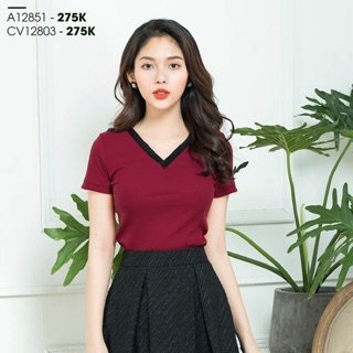 1086 Sét Chân Váy Xếp Ly + Áo Thun Len Đơn Giản