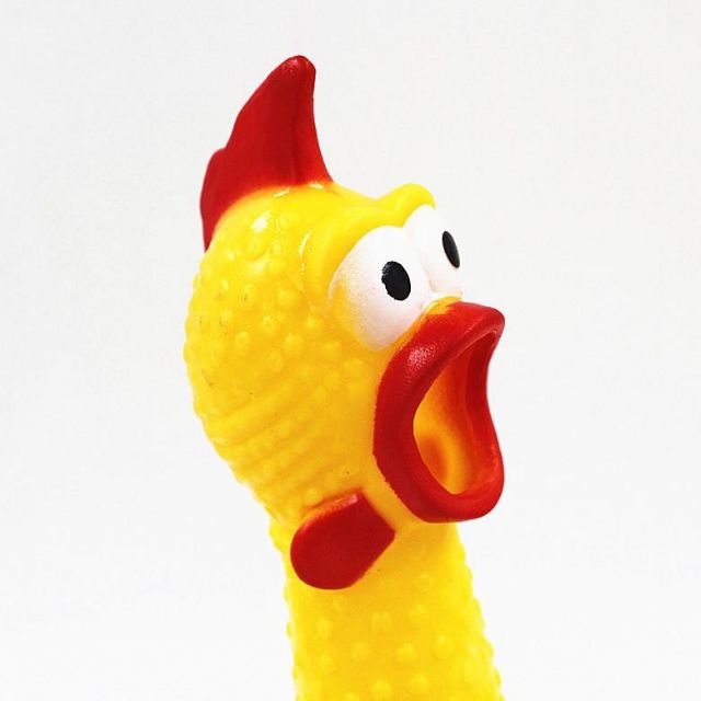 Gà bóp kêu Shrilling Chicken, gà A Lử 32cm