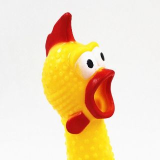 Gà bóp kêu Shrilling Chicken, gà A Lử