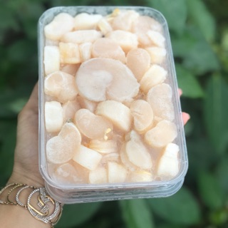 [HCM 1-2h] Giá Sỉ 1Kg Cồi Sò Mai