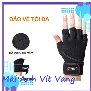 Găng tay luyện tập