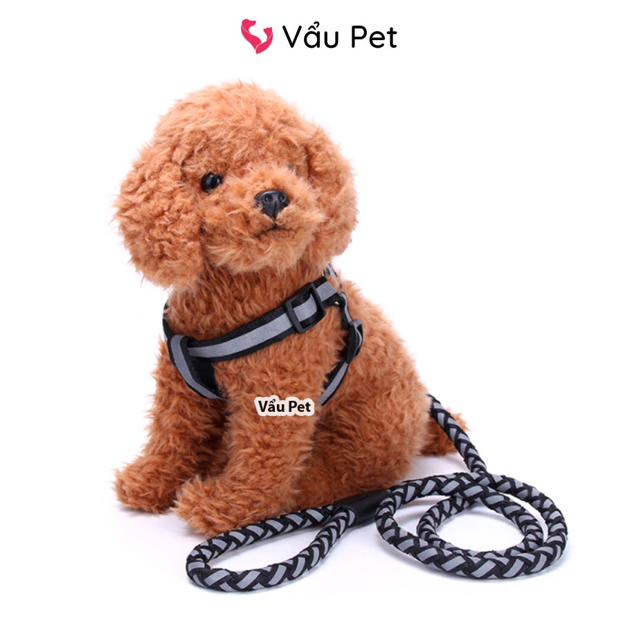 Xích yên ngựa phản quang tết thừng