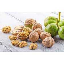 CÂY GIỐNG QUẢ ÓC CHÓ SIÊU QUẢ, SIÊU NĂNG SUẤT,SIÊU KINH TẾ- CAM KÊT GIỐNG CHUẨN F1