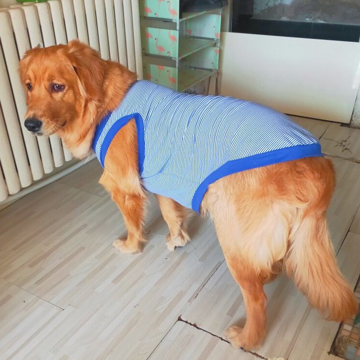 Quần áo cho chó mùa hè chó cỡ trung bình Chó Golden Retriever chó Labrador chó l