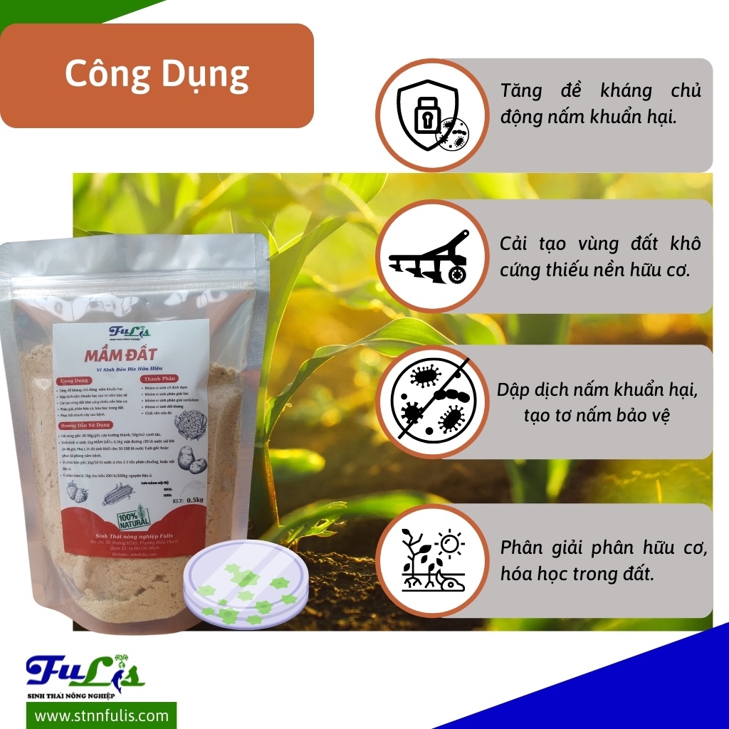 Vi Sinh Bản Địa Hữu Hiệu MẦM ĐẤT Cho Rau, Củ, Quả, Lúa Kháng Nấm, Phân Giải, Giá Rẻ Chính Hãng - stnnfulis