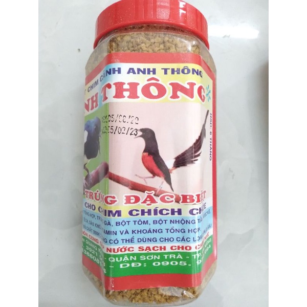 Cám chích chòe, họa mi, chào mào  Anh Thông