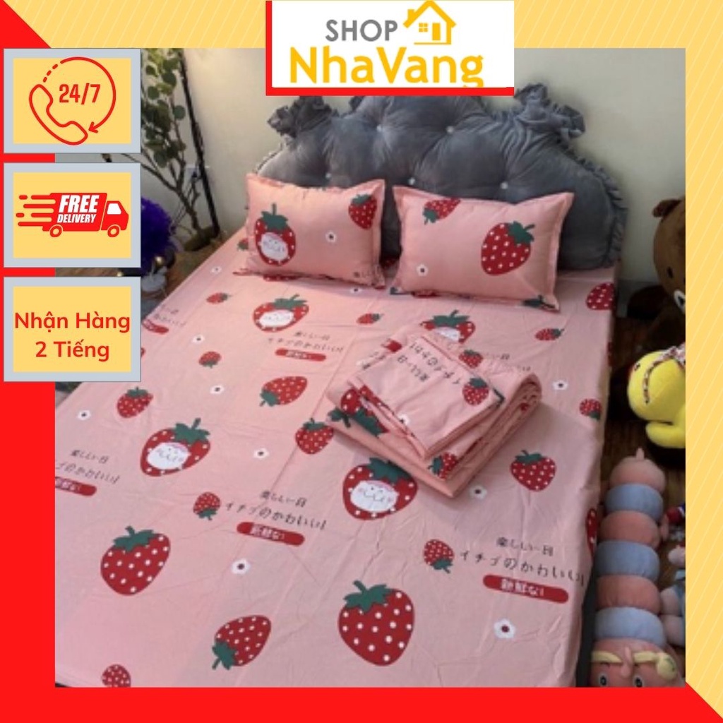 Bộ ga gối 1m2/1m4/1m5,gồm 1 ga chun kèm 2 vỏ gối nằm-MẪU DÂU