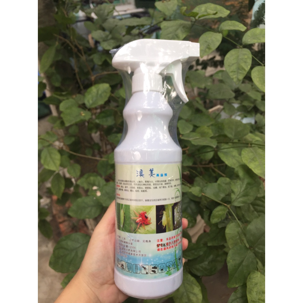Xịt diệt sâu bọ, rầy rệp cho sen đá và cây cảnh