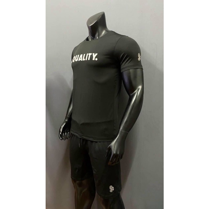 Áo thun thể thao gym S14 equality thun poly 4 chiều