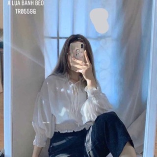 Áo sơmi lụa bánh bèo dài tay - TR