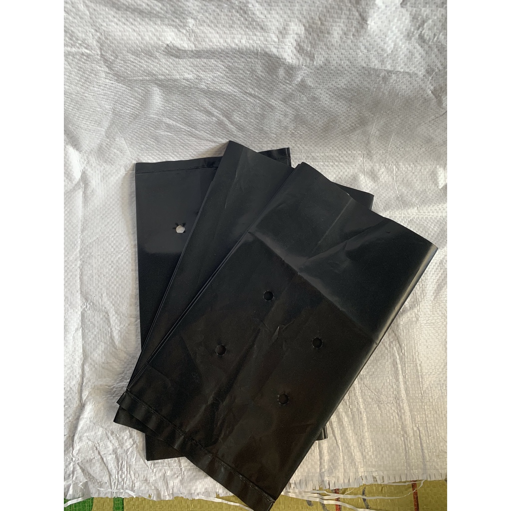 1KG TÚI ƯƠM CÂY LOẠI 7x11, 10x20, 10x25, 12x25, 25x25
