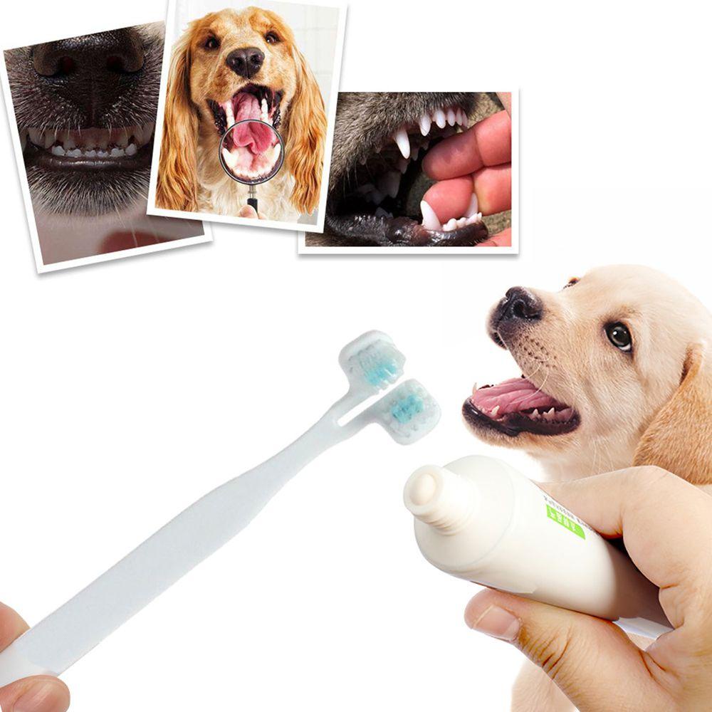 Bàn Chải Đánh Răng AUGUSTINA Mềm Mại Bảo Vệ Răng Cho Cún Cưng Tiện Dụng