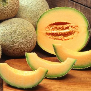 HẠT GIỐNG DƯA LƯỚI VÀNG F1