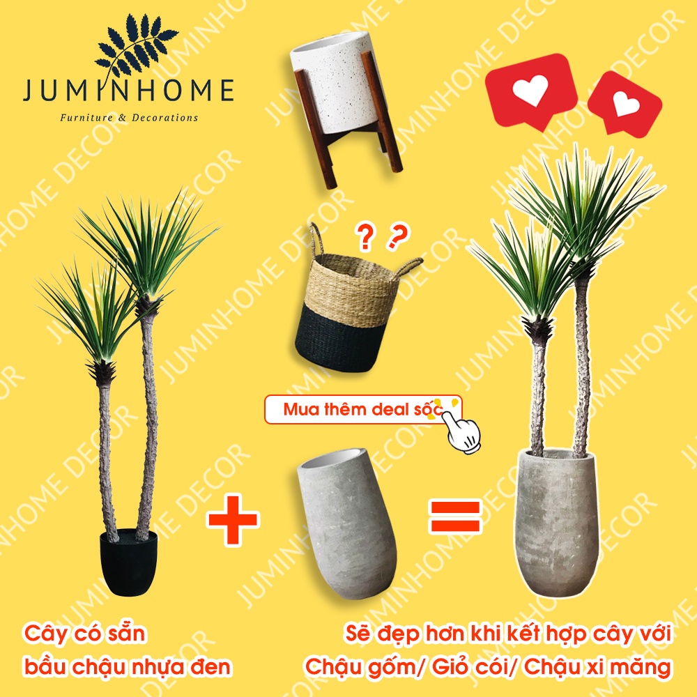 Cây giả, Cây phát tài núi giả, thiết mộc lan giả - Cây giả decor trang trí nhà cửa nội thất phòng khách phòng ngủ