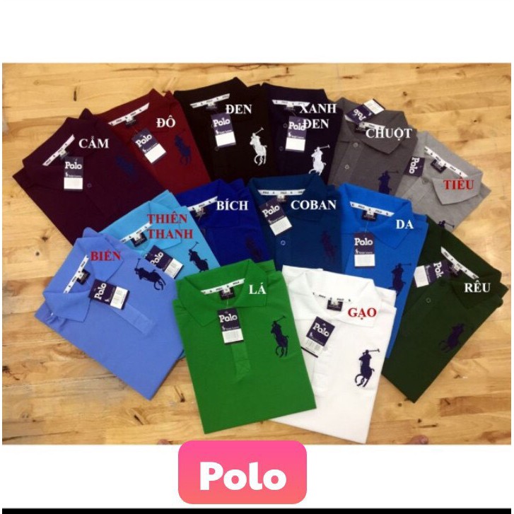 《Sale50%》Áo Thun Cá Sấu Nam Thời Trang Cao Cấp | BigBuy360 - bigbuy360.vn