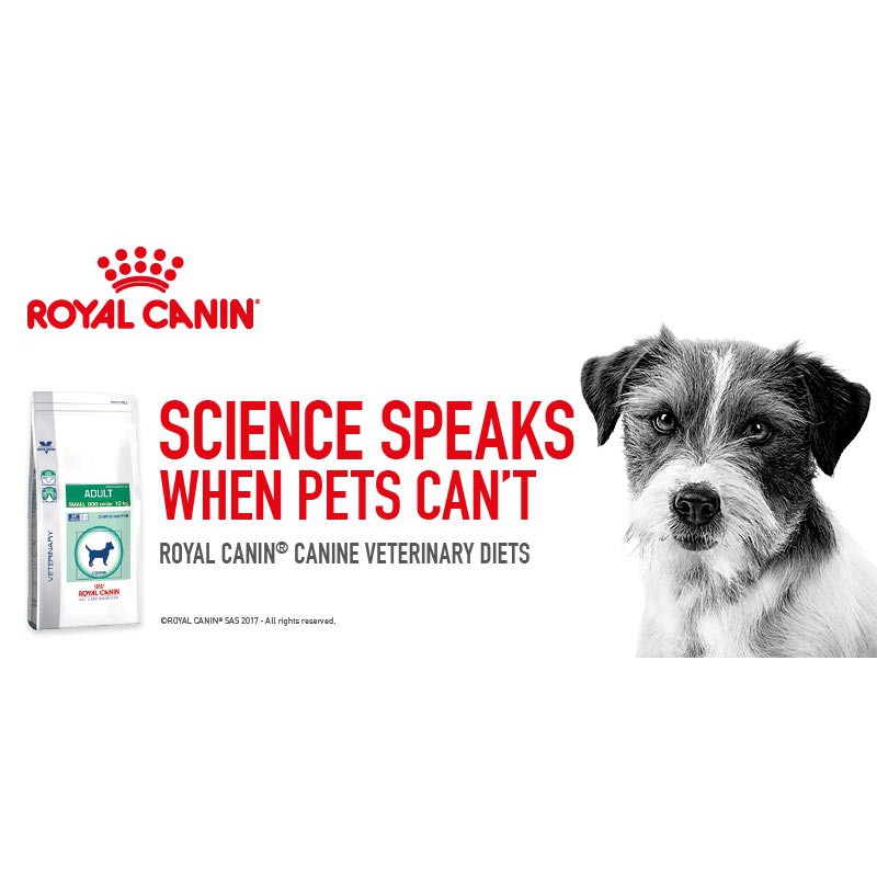 400gr - Hạt Kitten Royal Canin dành cho Mèo con từ 4 - 12 tháng tuổi - Royal Canin Second Age Kitten 36(REPACK)